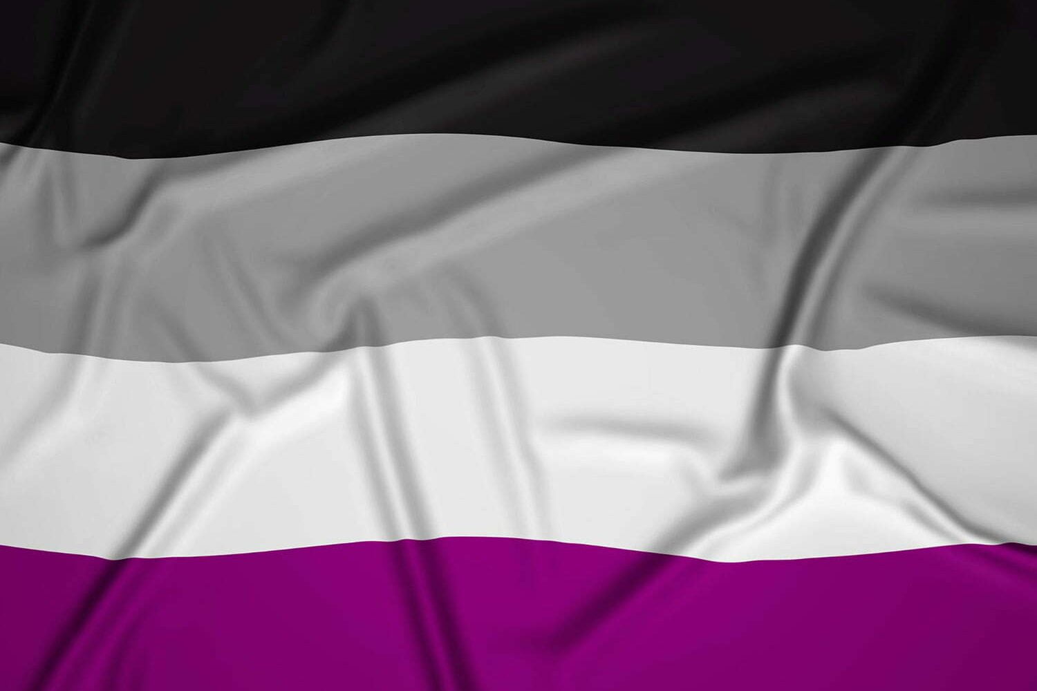 Bandera del orgullo asexual, realista