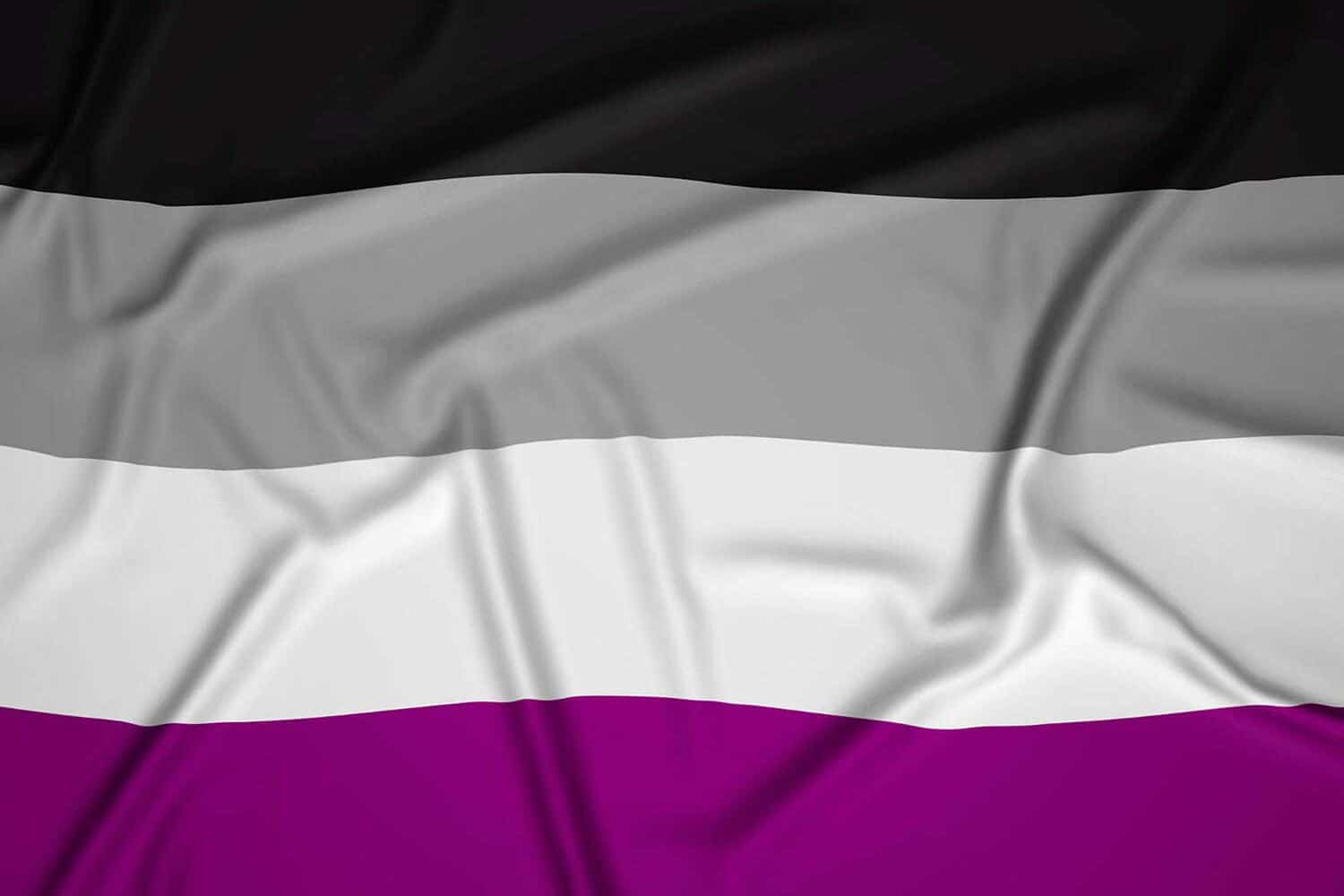 Bandera del orgullo asexual, realista
