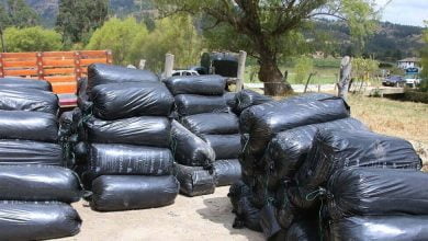 v&iacute;a panamericana