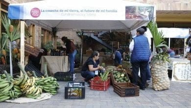 v&iacute;ctimas de desplazamiento