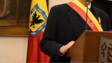 concejo de bogot&aacute; artista vallenato