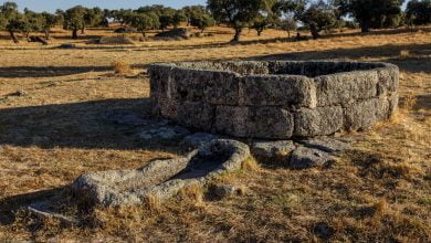 empuj&oacute; a menor un pozo