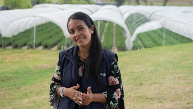 M&aacute;s de 12.000 vacantes en la conmemoraci&oacute;n del D&iacute;a Internacional de la Mujer