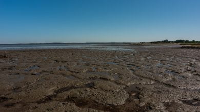 fen&oacute;meno natural Italia / fen&oacute;meno del ni&ntilde;o / fen&oacute;meno el ni&ntilde;o / fen&oacute;meno de El Ni&ntilde;o / ox&iacute;geno / lugares m&aacute;s calientes del&nbsp;planeta / Petro