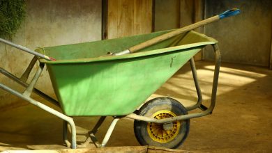 Cad&aacute;ver en carreta abandonada