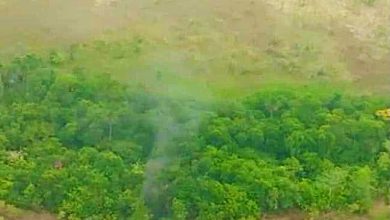 Venezuela derribó una aeronave