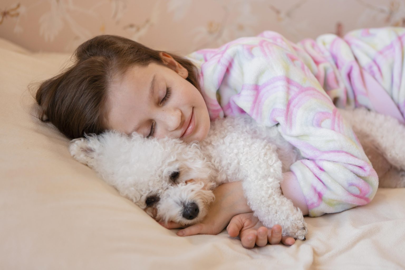 dormir con tu perro / perros / dormir con perros o gatos