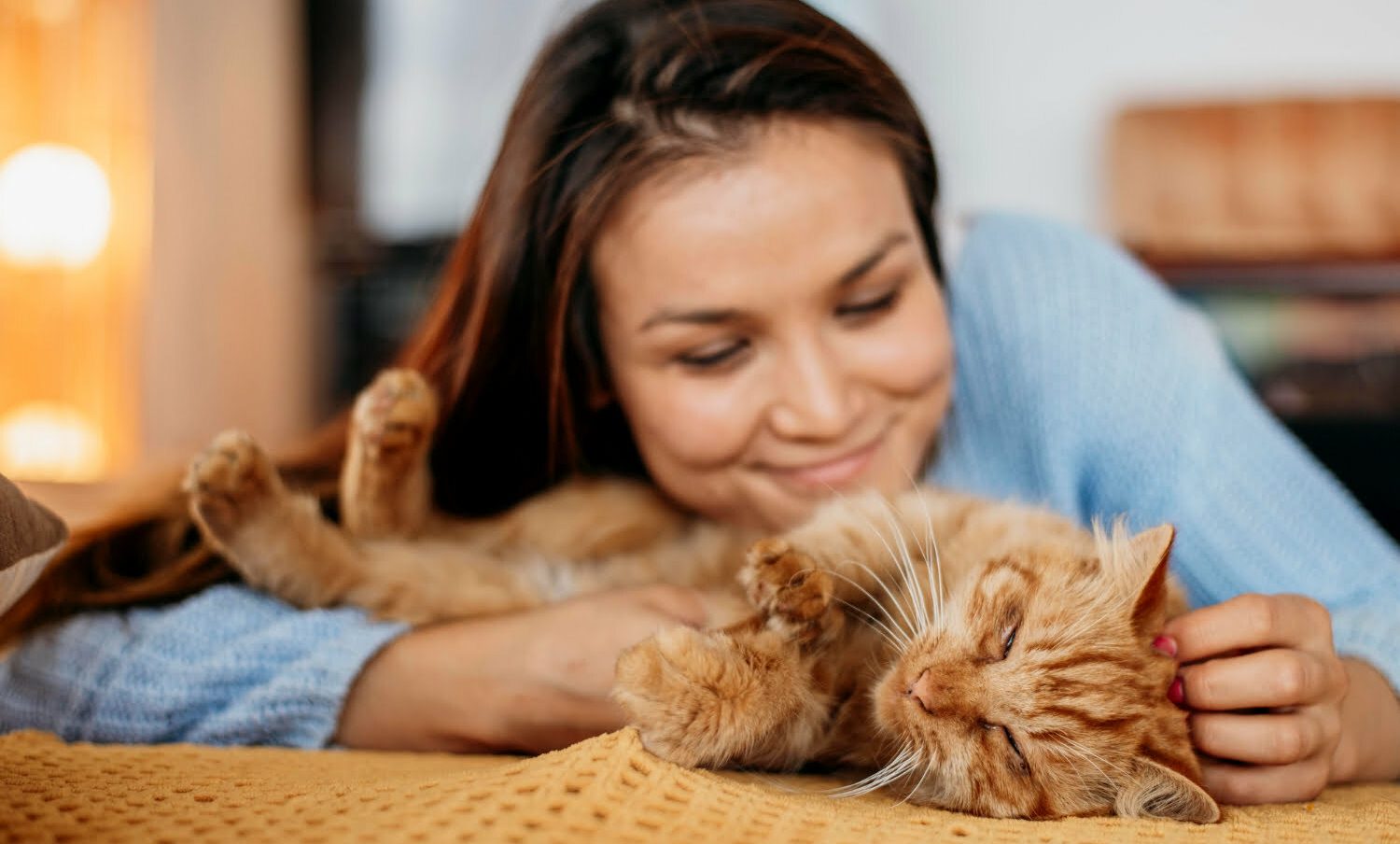 mujer acariciando a su gato / dueños de gatos / perro o gato se siente amado por usted