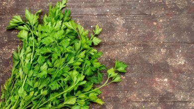 ramas de perejil sobre fondo caf&eacute;