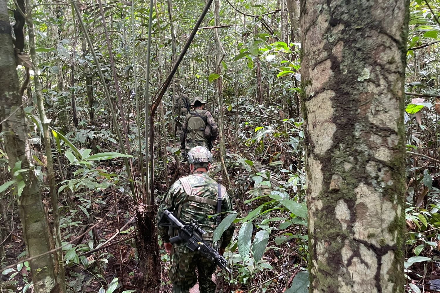 Nuevo hallazgo sobre los menores desaparecidos en Guaviare / niños perdidos en la selva