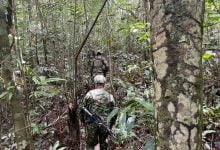 Nuevo hallazgo sobre los menores desaparecidos en Guaviare / perdidos en la selva