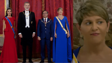 ver&oacute;nica alcocer