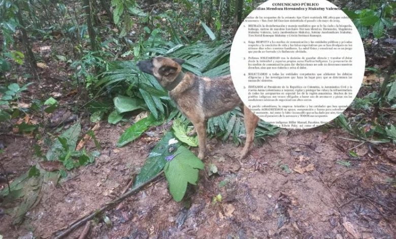 ni&ntilde;os / avioneta