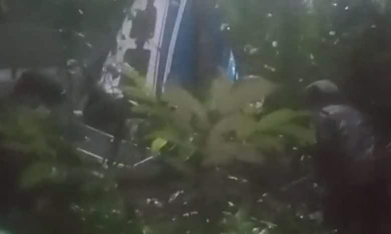 avioneta / guaviare / ni&ntilde;os / avioneta que se estrell&oacute; en Guaviare