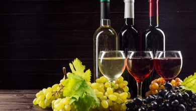 Variedad de vinos para elegir el vino ideal para la ocasi&oacute;n