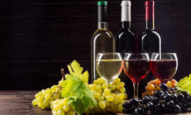 Variedad de vinos para elegir el vino ideal para la ocasión