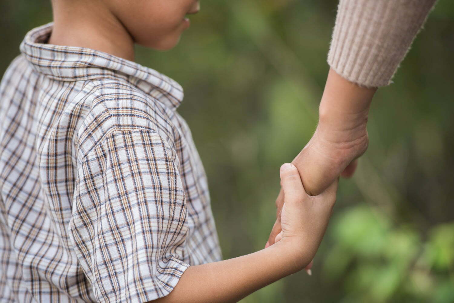 Niños raptados en Bogotá / menores adoptados / relación