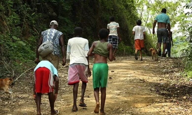 desplazamientos forzados