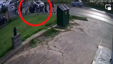 migrantes atropellados texas | accidente en Texas