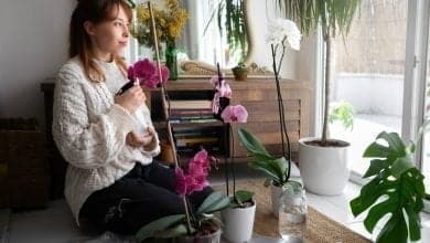 mujer sembrando plantas florales para decorar su hogar