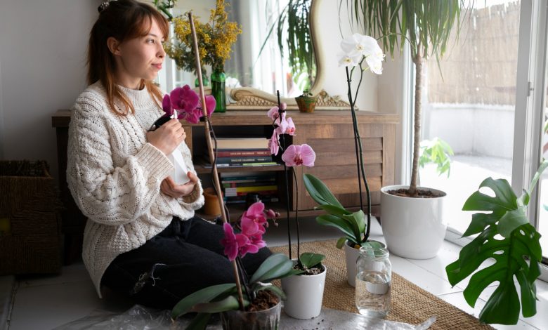 mujer sembrando plantas florales para decorar su hogar