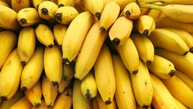 plátano maduro recetas | comer banano - ¿Cómo se debe guardar un banano para que no se ponga negro?