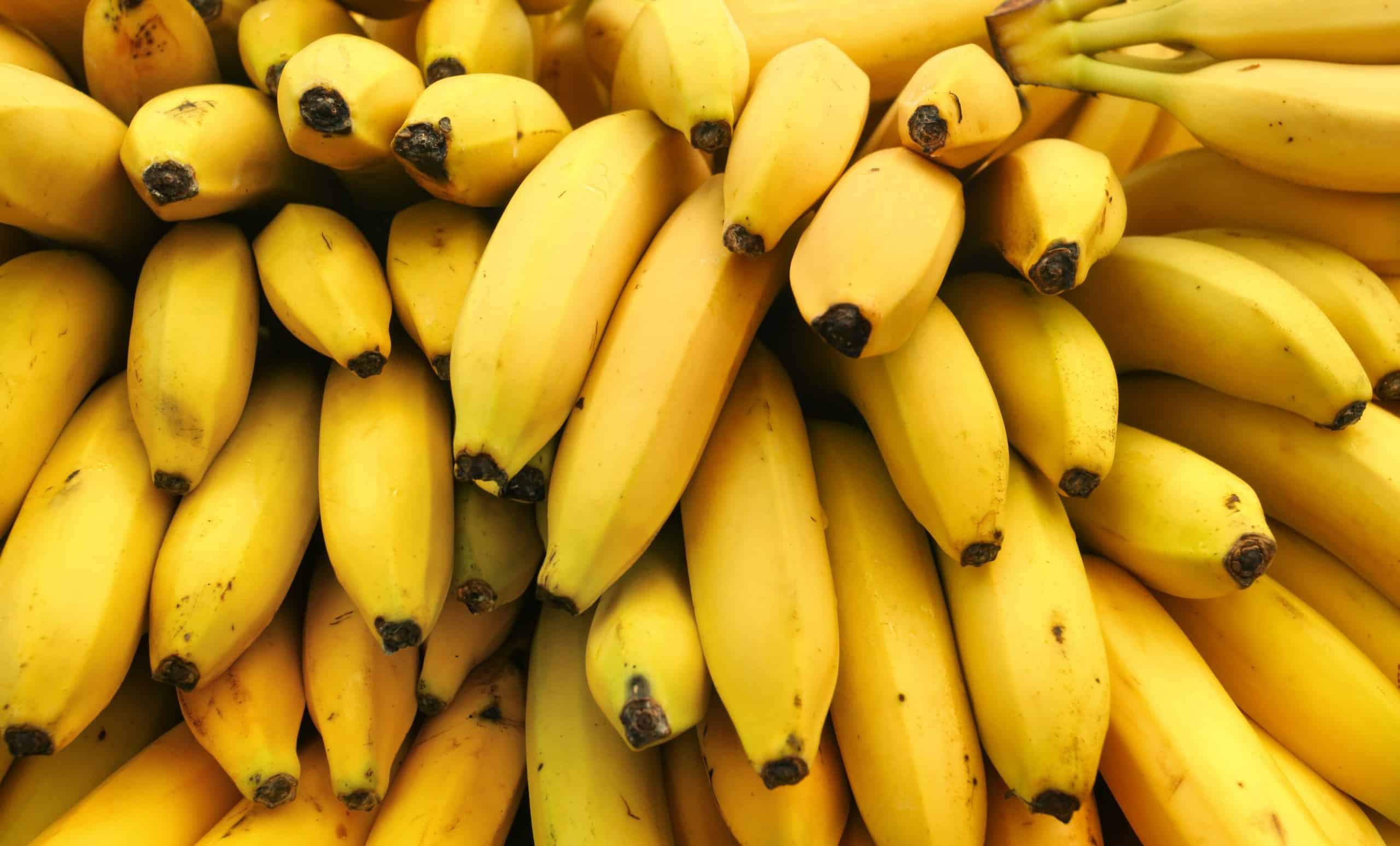pl&aacute;tano maduro recetas | comer banano - &iquest;C&oacute;mo se debe guardar un banano para que no se ponga negro?