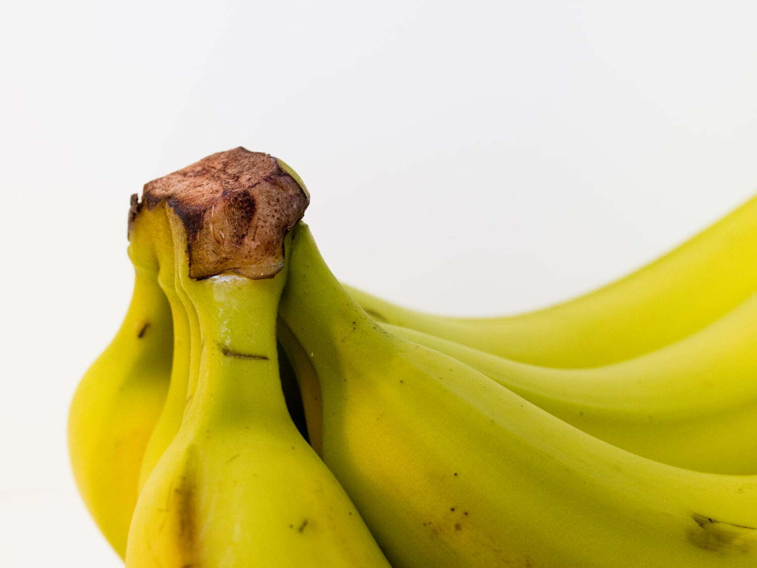 manchas de pl&aacute;tano en la ropa