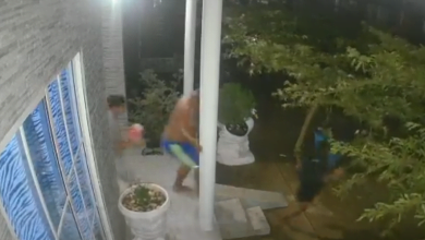 temblor en el mar caribe