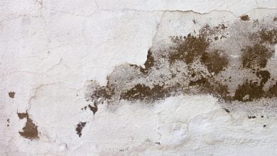 humedad en la pared
