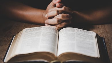 persona orando con las manos empuñadas y una biblia, significado de ¡aleluya!