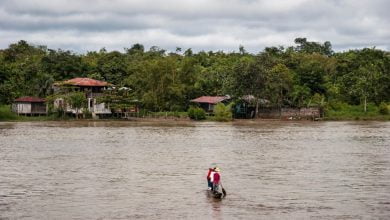 QUIBD&Oacute; CHOC&Oacute;, 08 de noviembre de 2005. actividades en la ribera del r&iacute;o atrato / comunidades