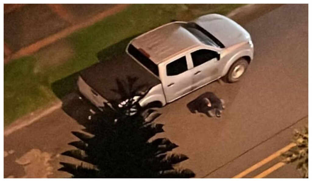 teniente coronel D&aacute;vila