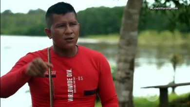 hermanos perdidos en la selva