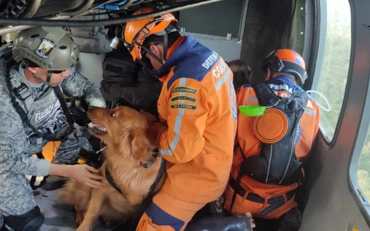 menores desaparecidos