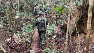 Selva, miedo y huida: el dram&aacute;tico rescate de cinco ni&ntilde;os perseguidos por disidencias en Caquet&aacute;