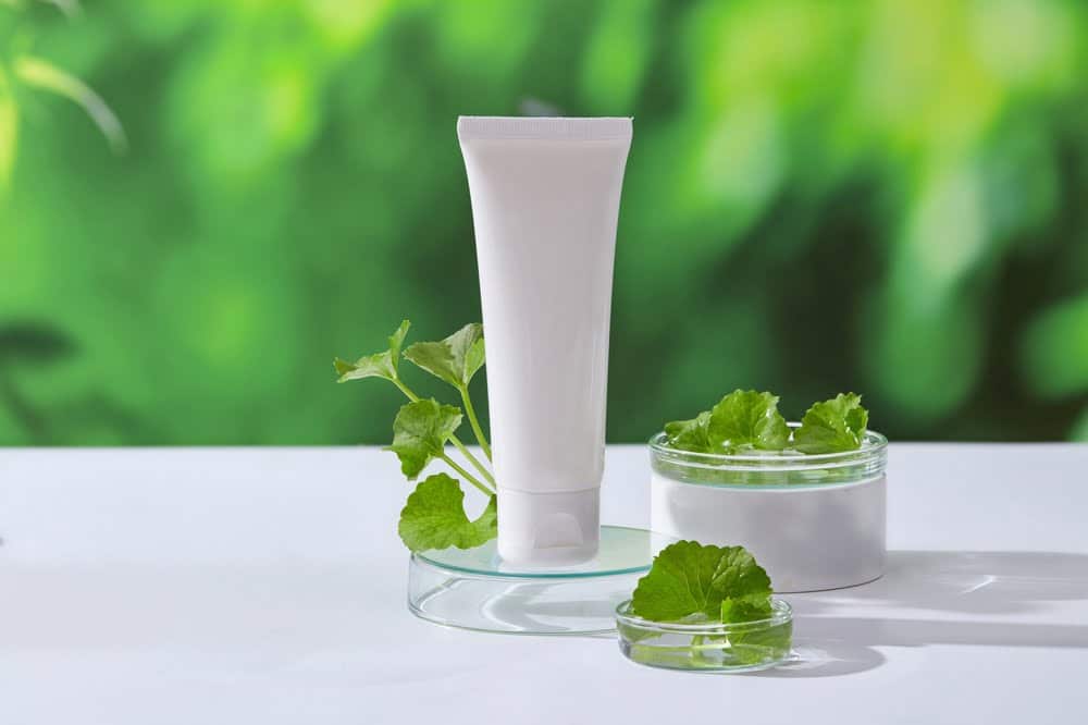 Esta planta le ayuda a producir col&aacute;geno y reduce las arrugas