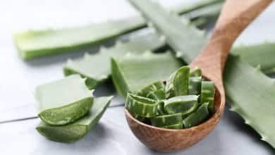 aloe vera / gastritis - quemaduras con p&oacute;lvora / s&aacute;bila