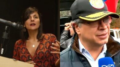 renuncia ministra de minas Irene v&eacute;lez