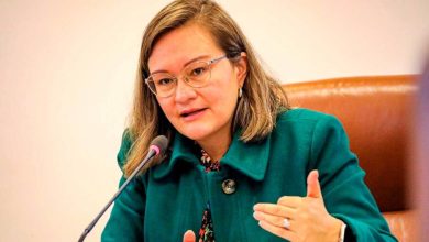 Renta ciudadana / Cielo Rusinque