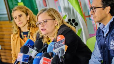 directora del ICBF sobre los hermanos rescatados en la selva