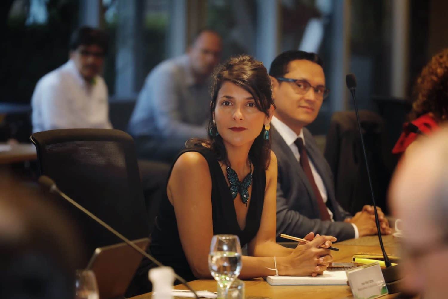 Irene v&eacute;lez exministra