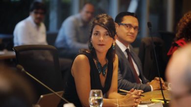 Irene v&eacute;lez exministra