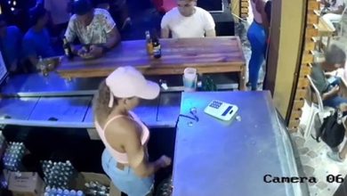 la mona en Cartagena