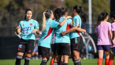 selecci&oacute;n colombia