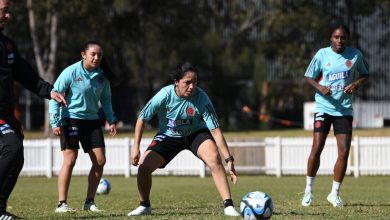 selecci&oacute;n colombia