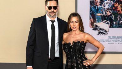 Confirman triste noticia que involucra a Sof&iacute;a Vergara