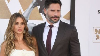 sof&iacute;a vergara