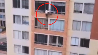 mujer cay&oacute; de un s&eacute;ptimo piso en bogot&aacute; durante el temblor