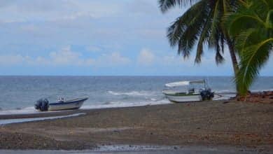 Parque Nacional Natural / influenza aviar